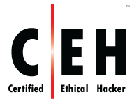 Certified Ethical Hacker (CEH)